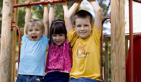 FPSS slide image